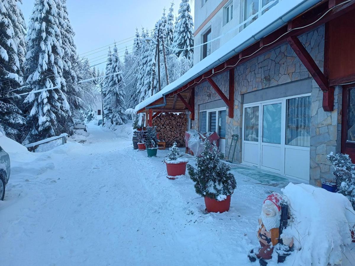 Kuca Za Odmor "Djurovic" Apartment Kopaonik Bagian luar foto