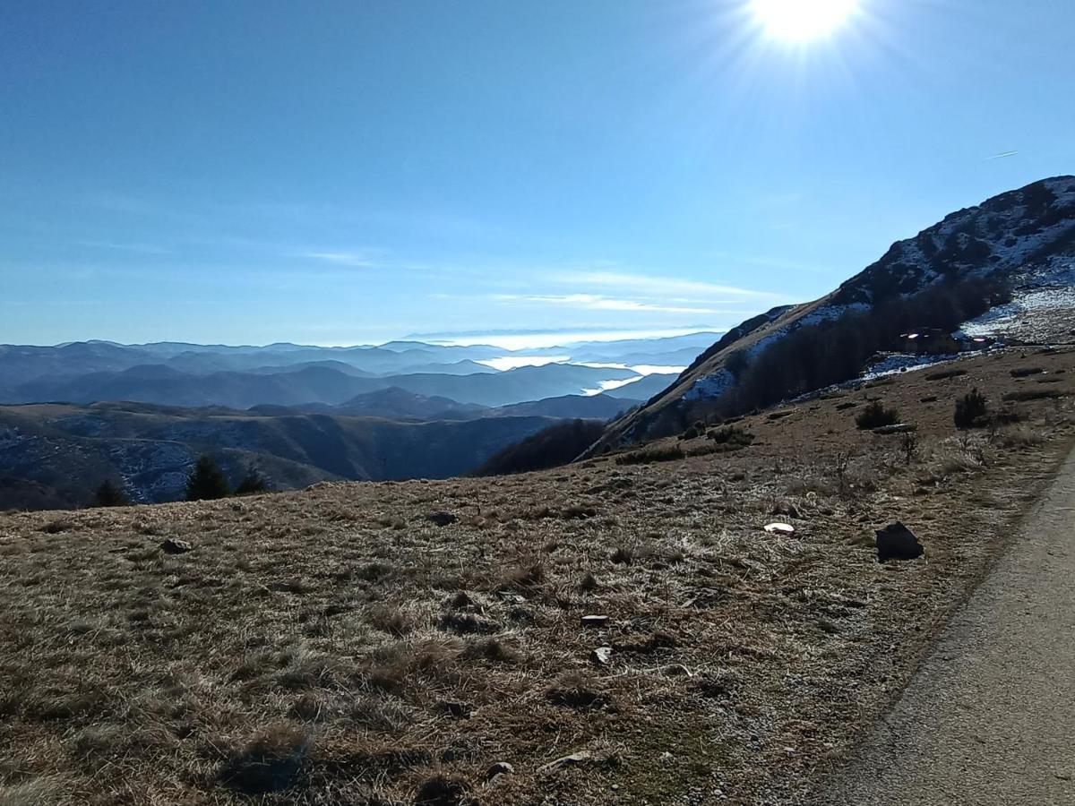 Kuca Za Odmor "Djurovic" Apartment Kopaonik Bagian luar foto