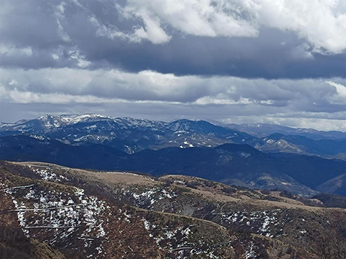 Kuca Za Odmor "Djurovic" Apartment Kopaonik Bagian luar foto