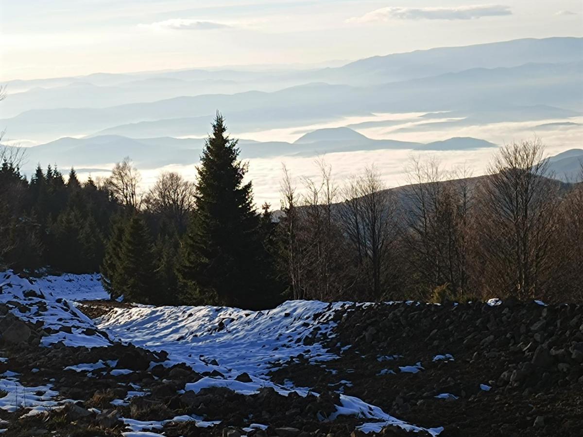 Kuca Za Odmor "Djurovic" Apartment Kopaonik Bagian luar foto