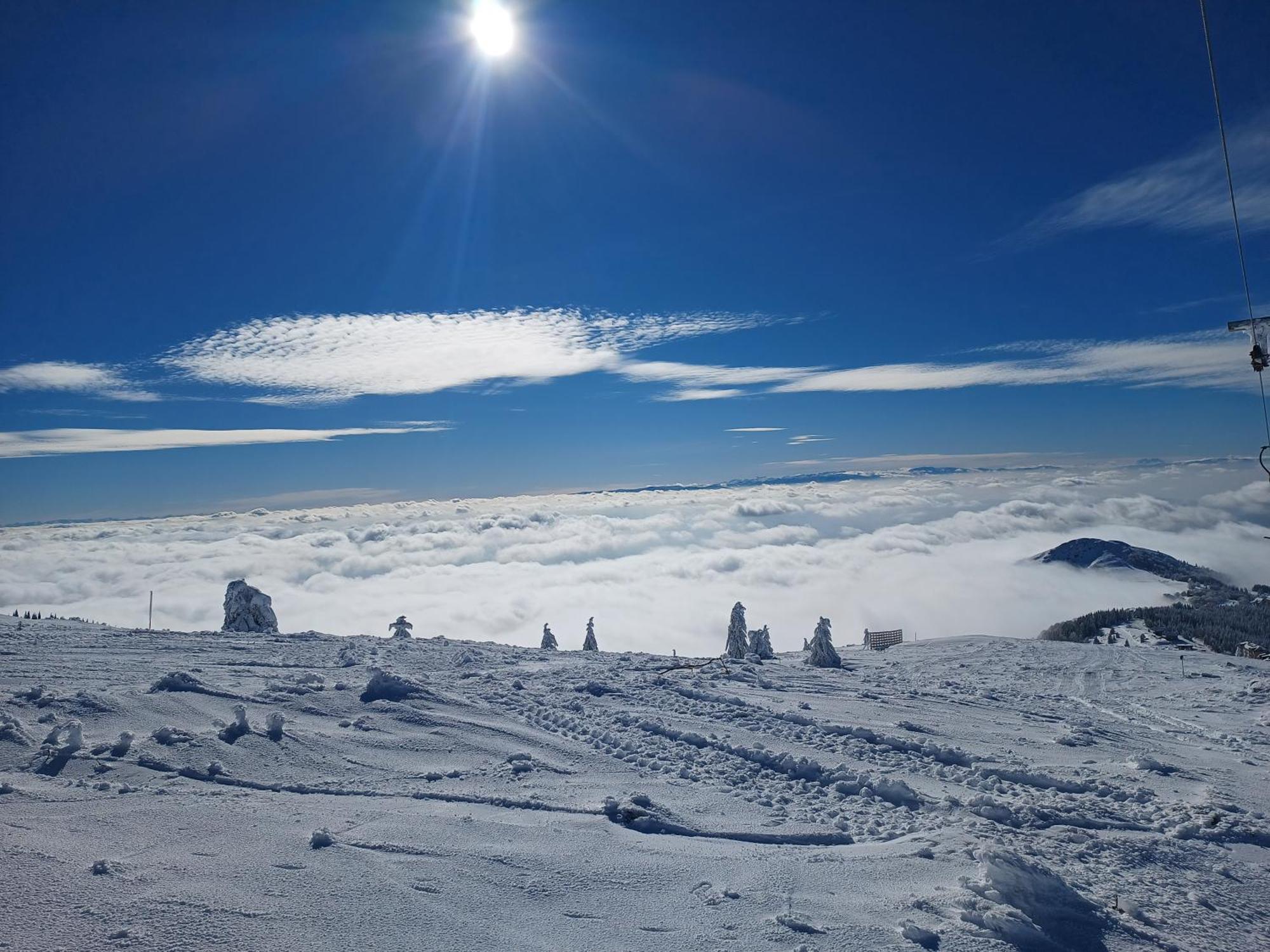 Kuca Za Odmor "Djurovic" Apartment Kopaonik Ruang foto