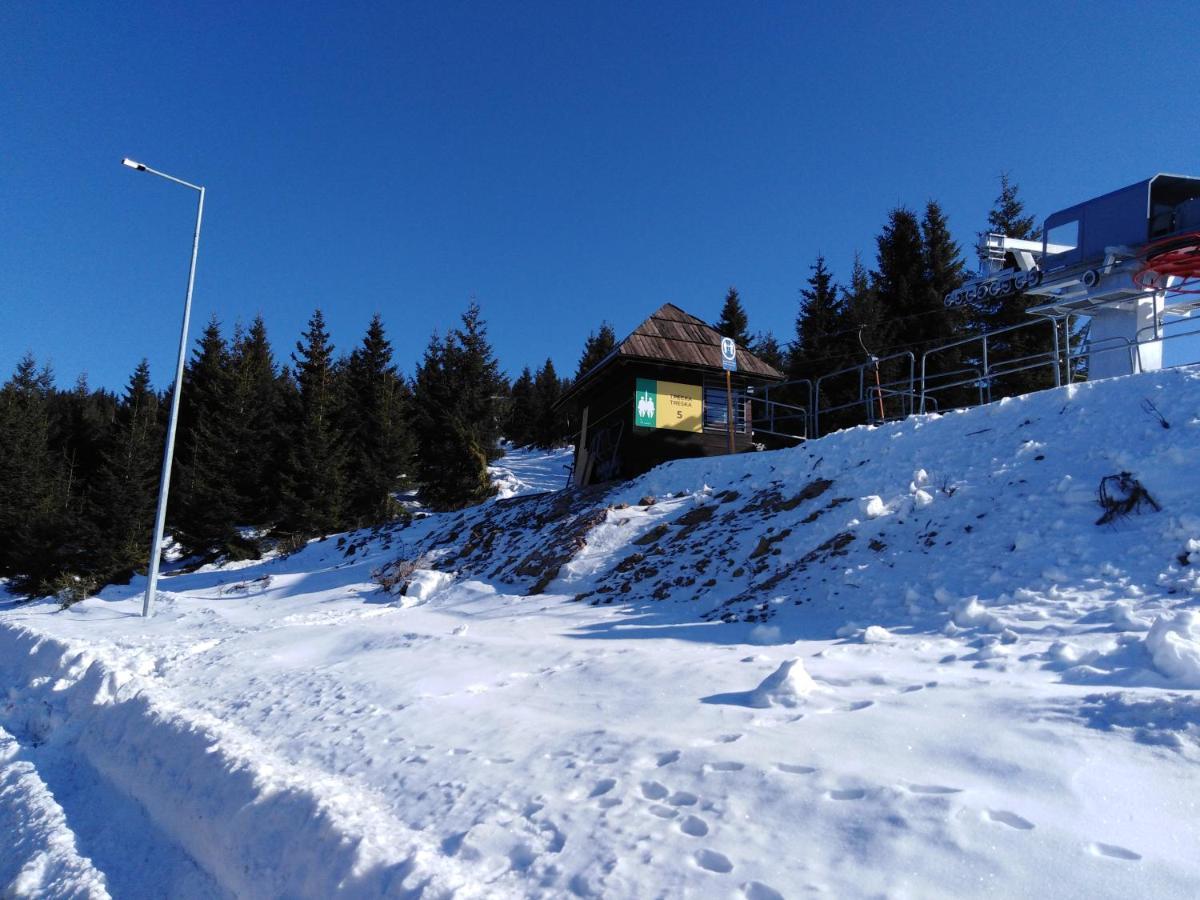 Kuca Za Odmor "Djurovic" Apartment Kopaonik Bagian luar foto